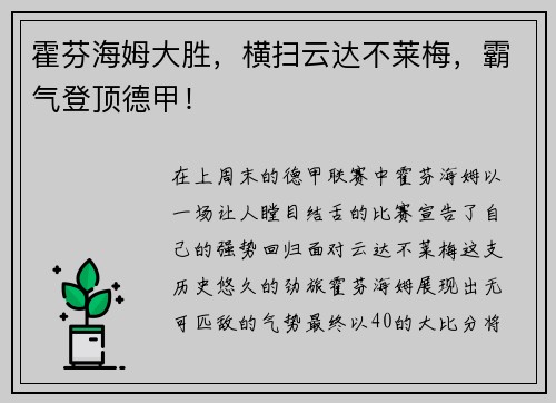 霍芬海姆大胜，横扫云达不莱梅，霸气登顶德甲！