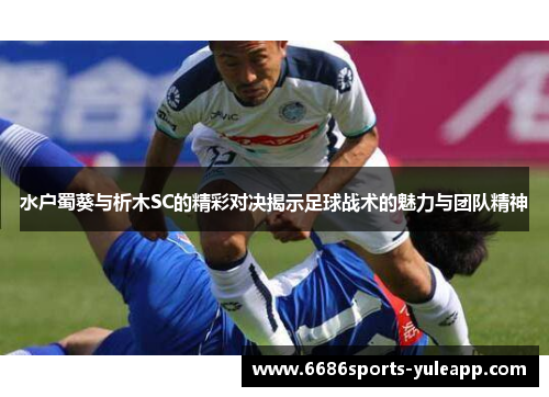 水户蜀葵与析木SC的精彩对决揭示足球战术的魅力与团队精神